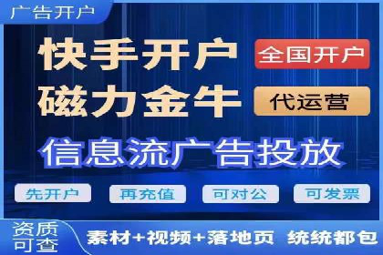 谷歌竞价广告与SEO结合的营销案例解析